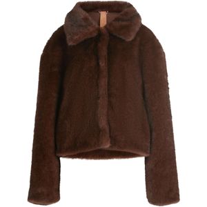 Cartoon Tussenjas  bruin