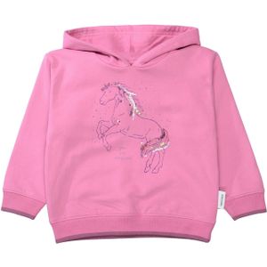 STACCATO Sweatshirt  blauw / pastelblauw / braam / rosa
