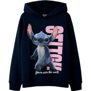 NAME IT Sweatshirt 'NKFnibul Stitch'  blauw / navy / rosa