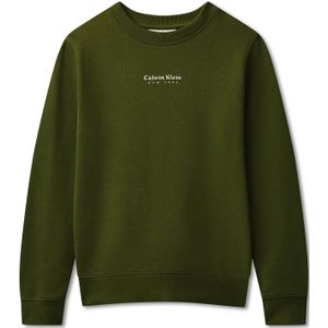 Calvin Klein Jeans Sweatshirt  spar