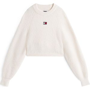 Tommy Jeans Dw0dw21677 Cropped Trui