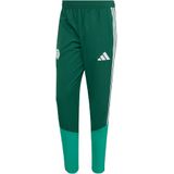 ADIDAS PERFORMANCE Sportbroek 'Algerien 26'  smaragd / donkergroen / wit