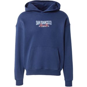 HOLLISTER Sweatshirt 'DESTINATION'  navy / roestrood / wit