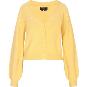 faina Gebreid vest  geel gemêleerd / parelwit