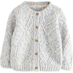 Next Gebreid vest  lichtbeige / blauw / sering / wit