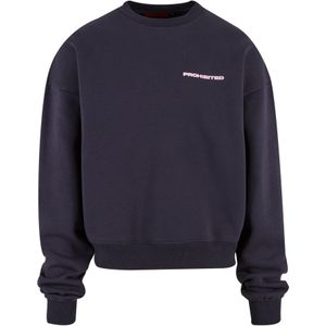 Prohibited Sweatshirt  antraciet / rosa