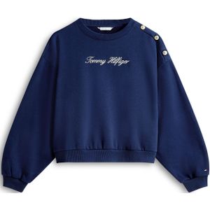 TOMMY HILFIGER Sweatshirt  blauw / wit