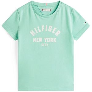 TOMMY HILFIGER Shirt  lichtgroen / wit