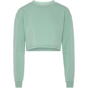 SANIKA Sweatshirt  pastelgroen
