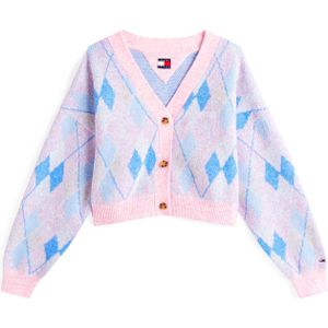 Tommy Jeans - Gebreid Vest - Blauw/Rosa - Losse Pasvorm - Lange Mouw