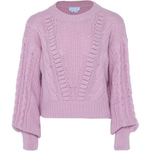 usha BLUE LABEL Trui  lavendel