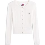 Tommy Jeans Gebreid vest  navy / rood / wit