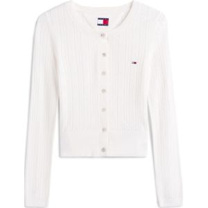 Tommy Jeans Gebreid vest  navy / rood / wit