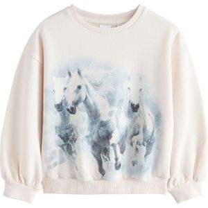 Next Sweatshirt  ecru / basaltgrijs / greige