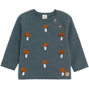 Cool Club Trui  marine / kastanjebruin / chocoladebruin / wit