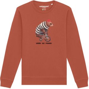 Watapparel Sweatshirt 'Tour de Franz'  lichtbruin / gemengde kleuren