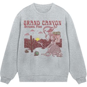 F4NT4STIC Sweatshirt 'US National Parks Grand Canyon Sunrise'  grijs / oudroze / rood