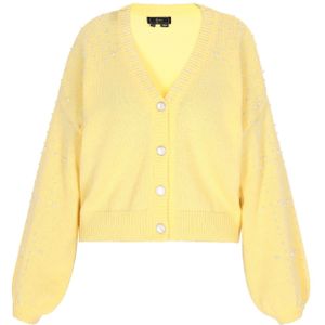 faina Gebreid vest  lichtgeel