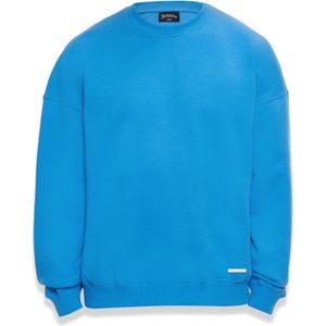 Dropsize Sweatshirt  azuur / zilver