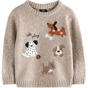 Next - Trui - Bruin - Knitwear - Lange Mouw