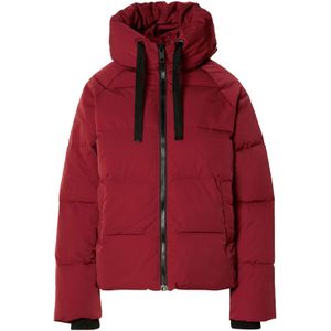 MSCH Copenhagen - Jack 19211-16008 - Donkerrood - Gewatteerd