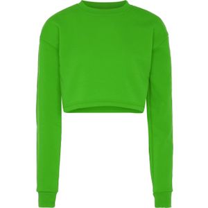 hoona Sweatshirt  grasgroen