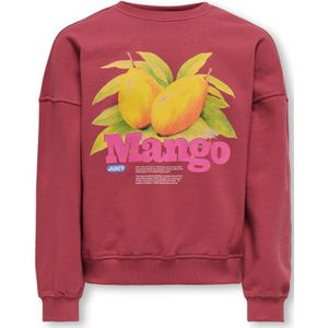 KOGP - KOGPhilea - Sweatshirt - Grijs - Katoen