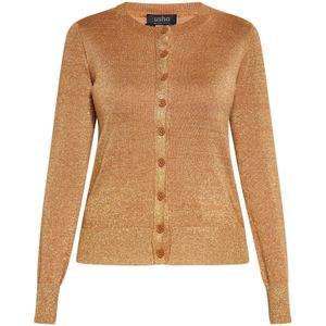 usha BLACK LABEL Gebreid vest  lichtbruin