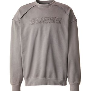 GUESS Sweatshirt  aardetinten
