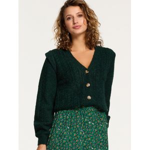 Shiwi Gebreid vest 'Aspen'  spar