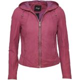 Maze Tussenjas 'Donie'  orchidee