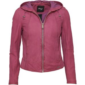 Maze Tussenjas 'Donie'  orchidee