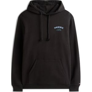 Tommy Jeans Sweatshirt  lichtblauw / groen / roestrood / zwart