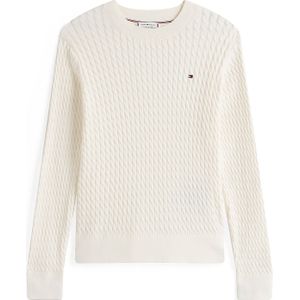 TOMMY HILFIGER Trui  wit