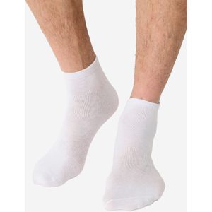 Nur Die Sokken  wit