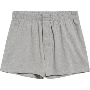 ARMEDANGELS Boxershorts 'AASKER'  grijs