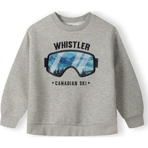 MINOTI Sweatshirt  grijs / gemengde kleuren