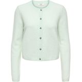 JDY Gebreid vest 'JDYChloe'  lichtgroen