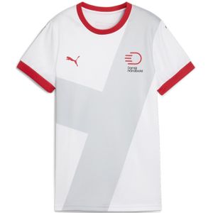 PUMA Tricot  grijs / rood / wit