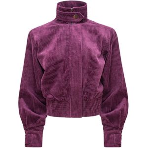 mandragora Tussenjas 'Barro'  framboos