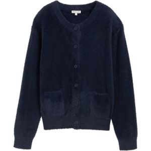 TOM TAILOR Gebreid vest  navy