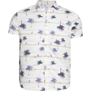 Campus Sutra Overhemd  gemengde kleuren / wit