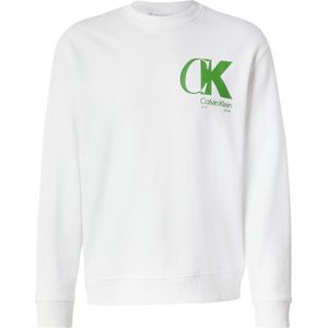 Calvin Klein Sweatshirt  appel / wit