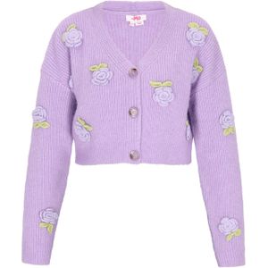 MYMO Gebreid vest  lichtgrijs / lila