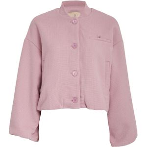 Peppercorn Tussenjas 'Millaya'  rosa