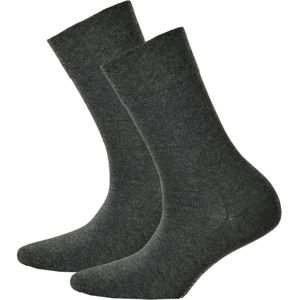Hudson Sokken  grijs