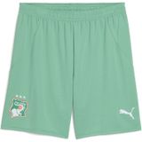 PUMA - Ivoorkust 2025 - Short - Wit - Heren