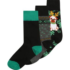 Urban Classics Sokken  grijs gemêleerd / jade groen / zwart / offwhite