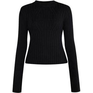 faina Trui 'Dedica'  zwart