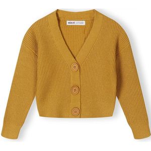 MINOTI Gebreid vest  mosterd